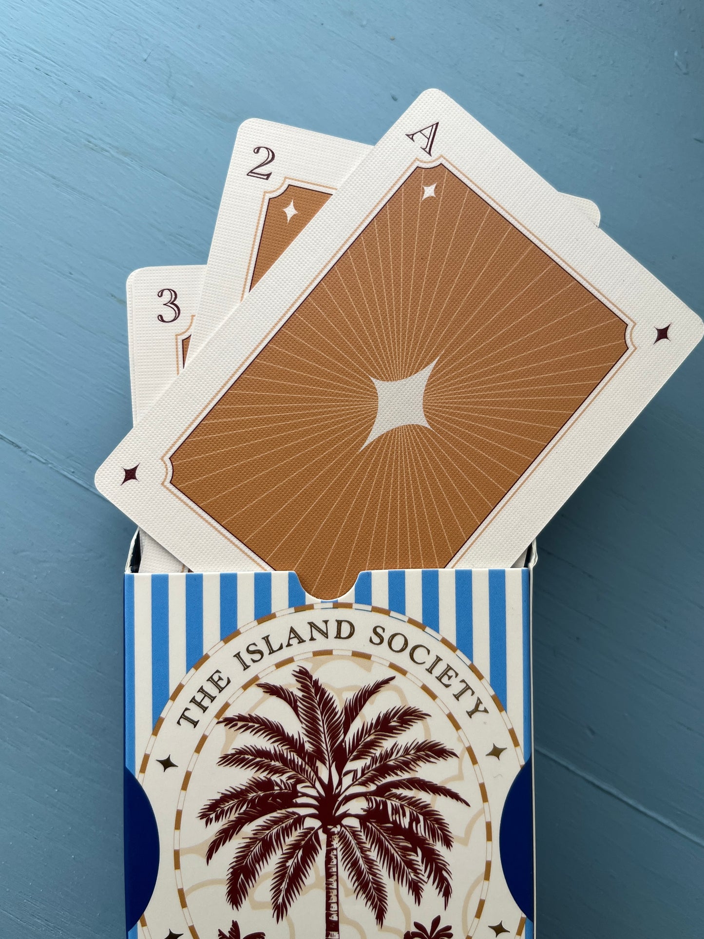 Illustrated Playing Cards • Small Meaningful Gift •